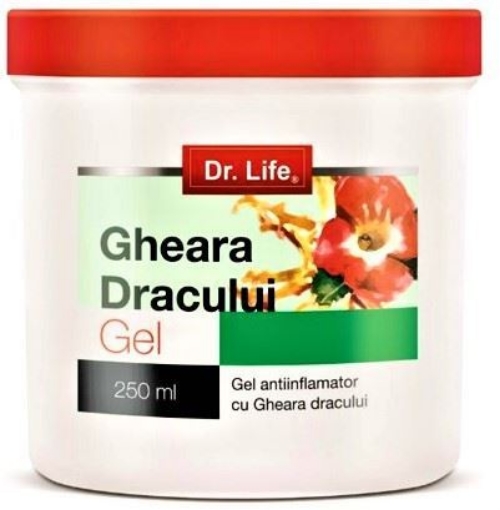 Dr Life Gel cu gheara dracului - 250ml