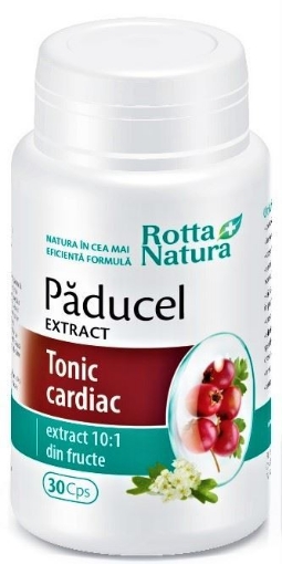 rotta natura paducel extract x 30 capsule