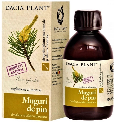 Dacia Plant Muguri de pin sirop - 200ml