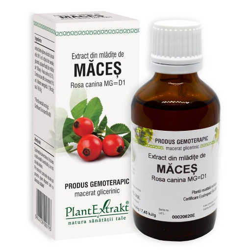 Poza cu PlantExtrakt Extract din mladite de maces (Rosa canina) - 50ml