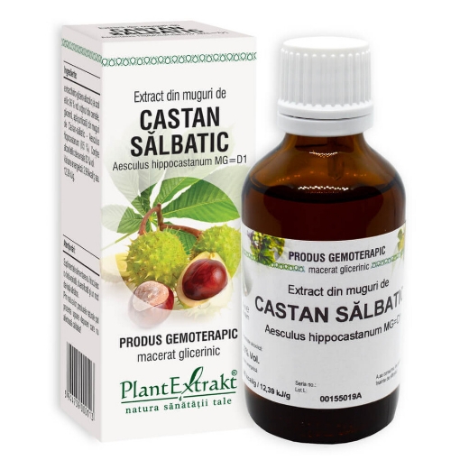 PlantExtrakt Extract din muguri de castan salbatic (Aesculus hippocastanum) - 50ml