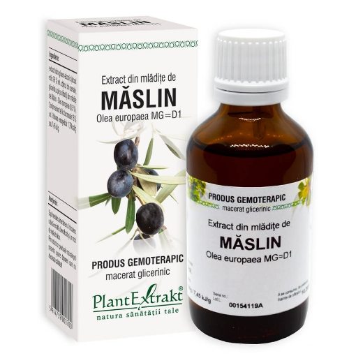 plantextrakt extract mladite maslin 50ml