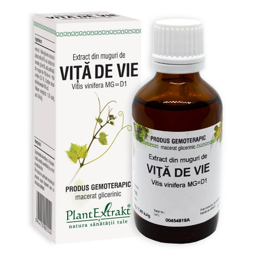 plantextrakt extract muguri vita vie 50ml