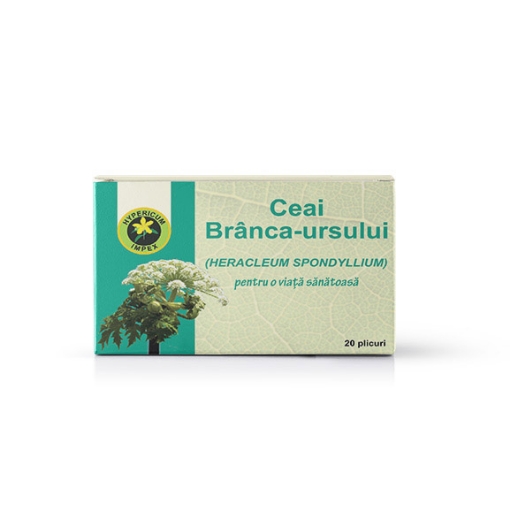 Hypericum ceai de Branca-Ursului - 20 plicuri