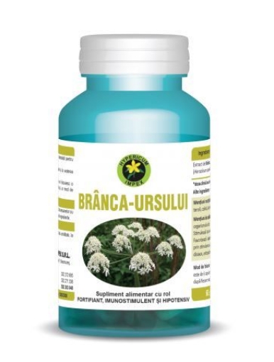 Hypericum Branca ursului 320mg - 60 capsule