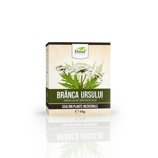 Dorel Plant ceai branca ursului - 50 grame