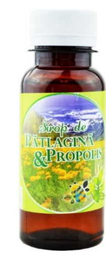 etna 2001 sirop patlagina+propolis 100ml