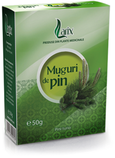 Poza cu Larix ceai din muguri de pin - 50 grame