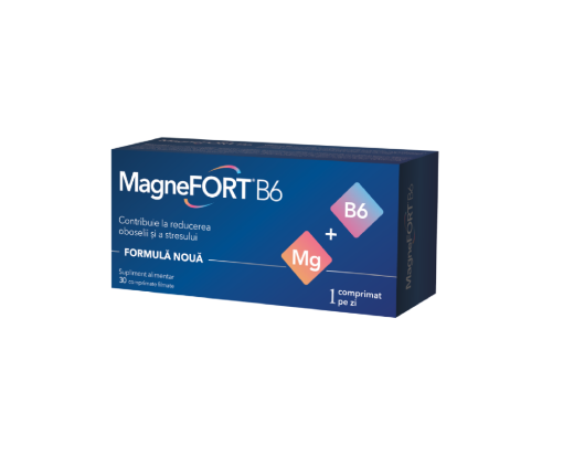 Poza cu MagneFORT B6 - 30 comprimate filmate Biofarm