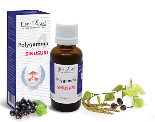 Poza cu PlantExtrakt Polygemma 4 Sinusuri - 50ml