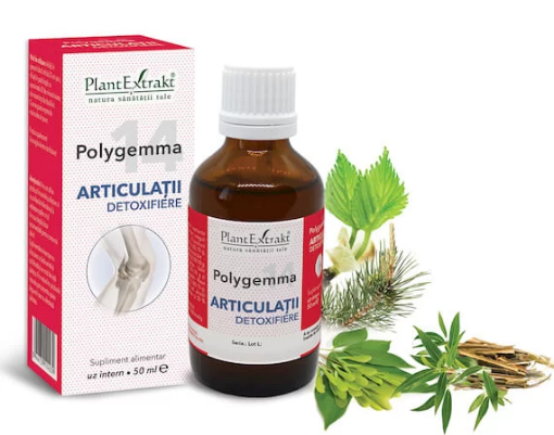 PlantExtrakt Polygemma 14 Articulatii detoxifiere - 50ml