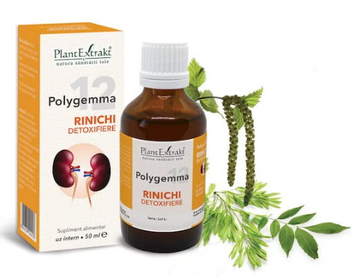 PlantExtrakt Polygemma 12 Rinichi detoxifiere - 50ml